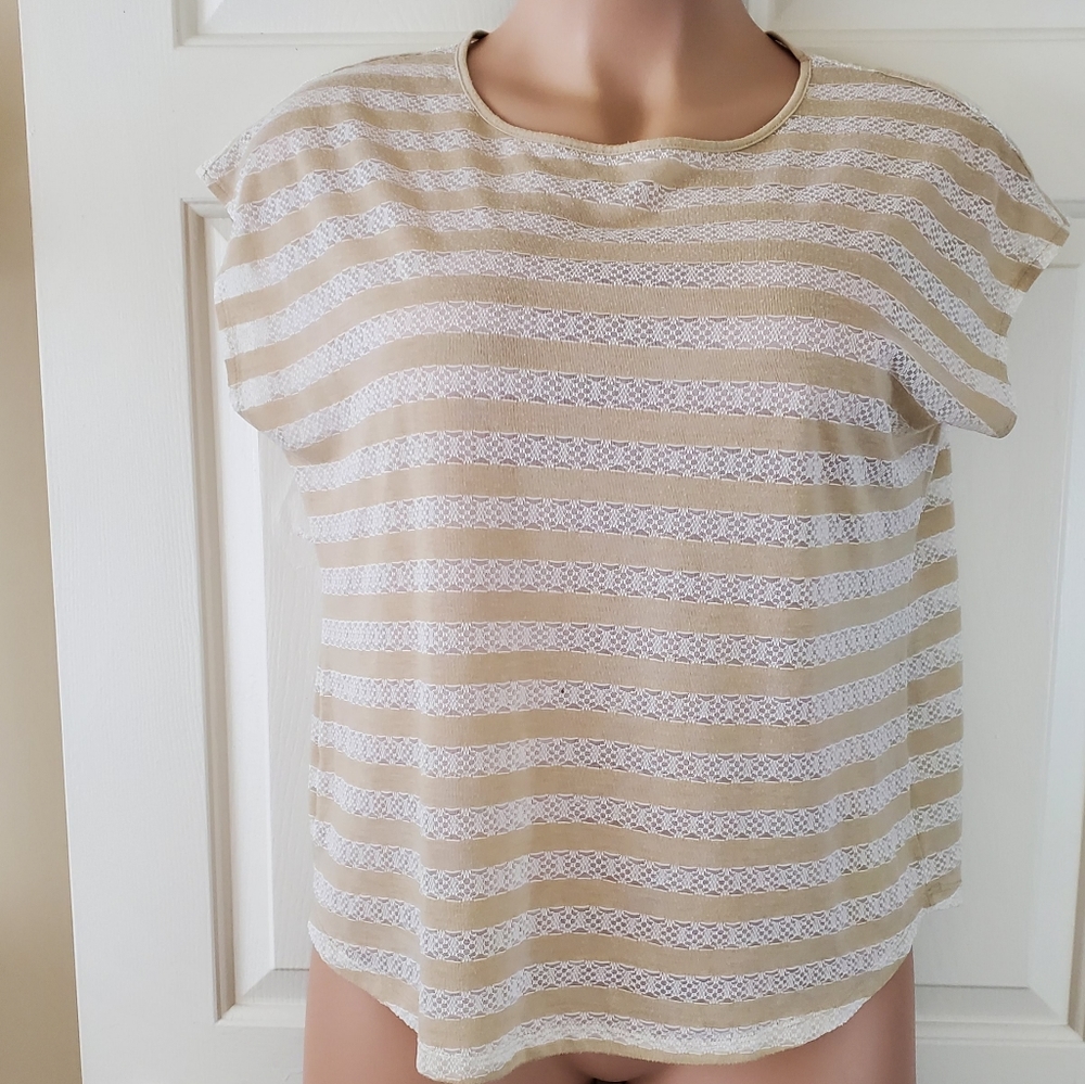 Cato Lace Stripe Top